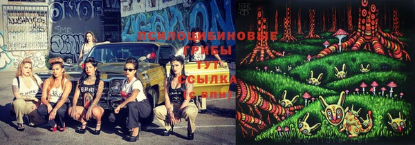не бодяженный Михайловск