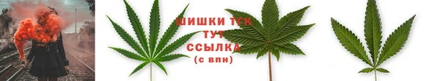 не бодяженный Михайлов