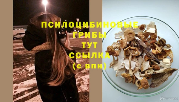 стаф Михайловка