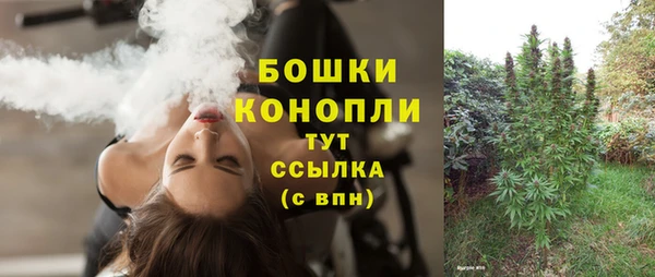 не бодяженный Михайлов