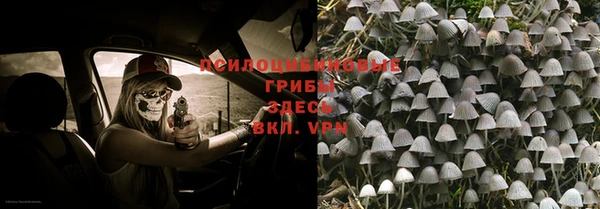 стаф Михайловка