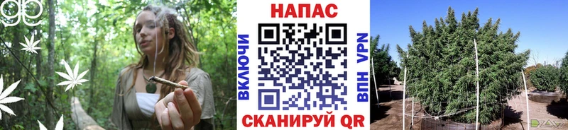 Бошки марихуана OG Kush  купить наркотики сайты  Усолье 